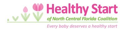 Every Baby Deserves a Healthy Start Florida Association of Healthy Start Coalitions Inc